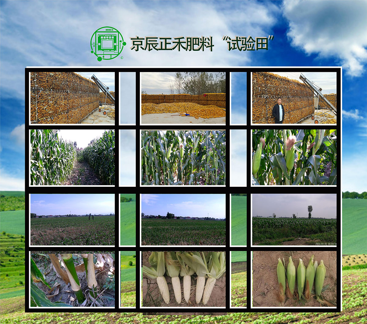试验田